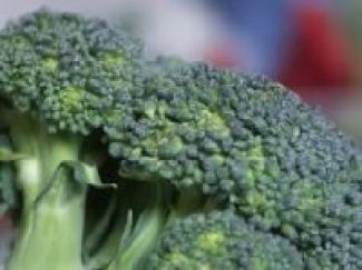 Broccoli Puree